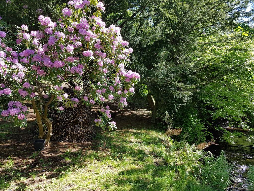 Bonkle House 3* Wishaw (North Lanarkshire)